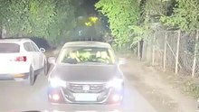 High beam revenge