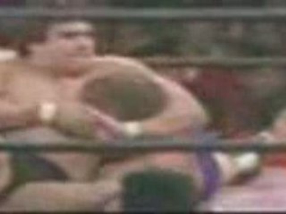 Harley Race vs. Ricky Steamboat