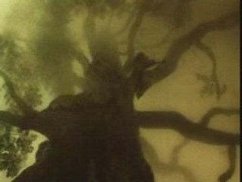 Ежик в тумане