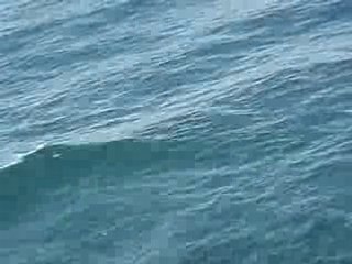 P6223053 dos plus début saut OUIN