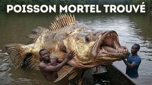 Une découverte incroyable sous la surface d'une rivière