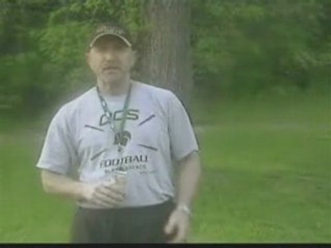 Verve Energy Drink: Vitamins a coach can believe in!