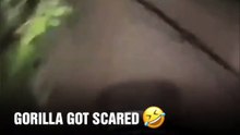 😀😀😂😂😂