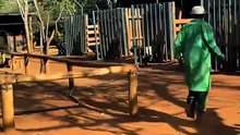 Tiny baby rhino