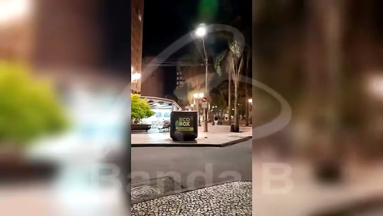 Infestação de ratos na Praça Osório