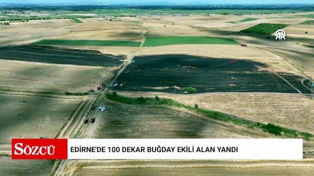 Edirne'de 100 dekar buğday ekili alan yandı