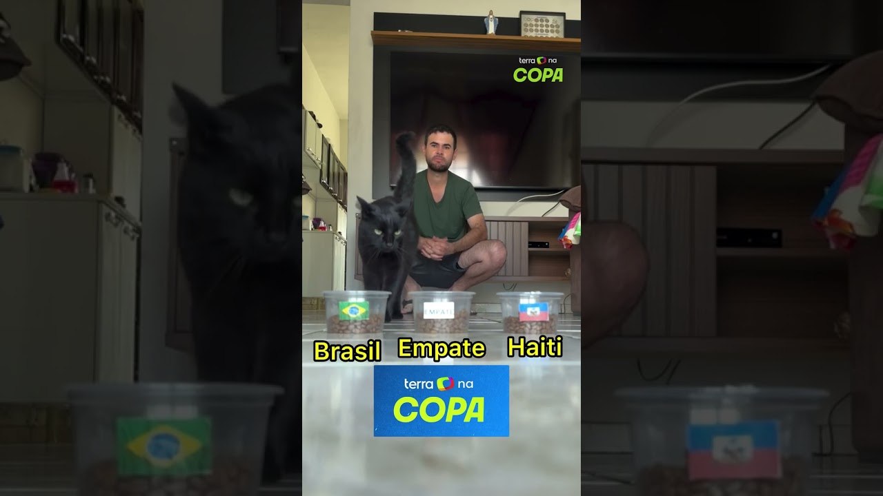 Após acertar empate com Marrocos, gato ‘vidente’ prevê vitória do Brasil contra o Haiti na Copa