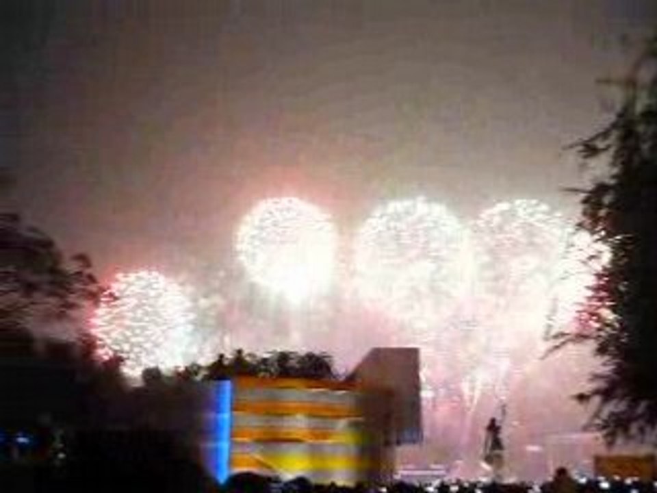 Feu d'artifice pour le nouvel an chinois à Hong-Kong