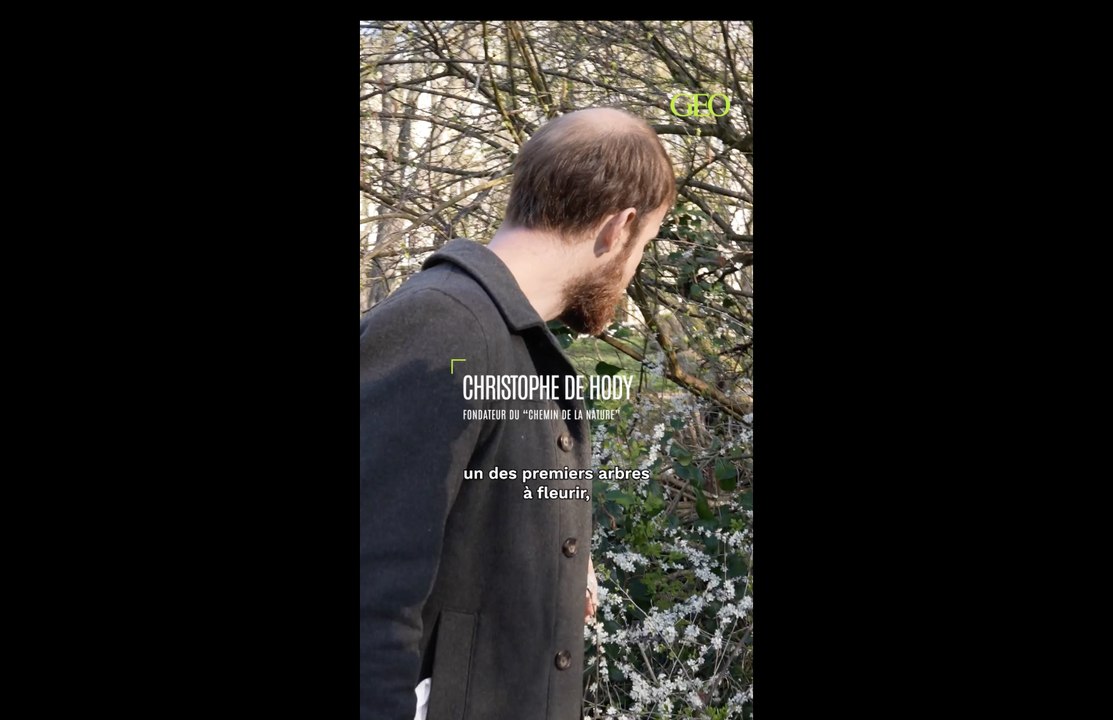 Cueillette au bois de Vincennes : Le prunellier