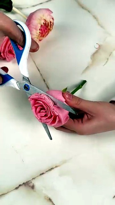 How to gift flowers in a different way