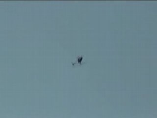 Looping - 3DX500-Oli-220608#1