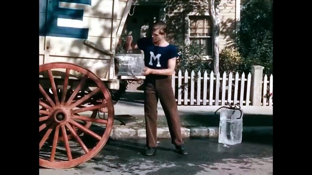 Filme Papai Batuta - A Tarefa Impossível de Um Pai de 12 Filhos! filme dublado