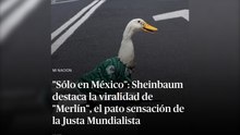 "Sólo en México": Sheinbaum destaca la viralidad de "Merlín", el pato sensación de la Justa Mundialista