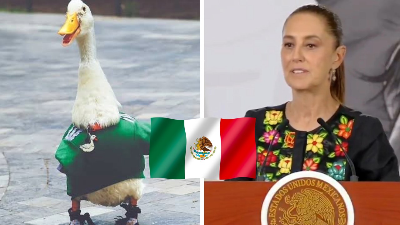 Claudia Sheinbaum invita al pato Merlín a La Mañanera; así habla de la mascota más popular del Mundial 2026