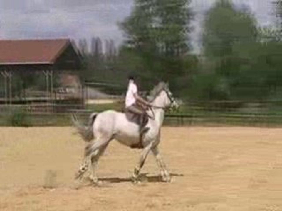 klockeen et diane entrainement avant lamotte Lainville