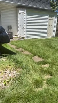 Fearless Mother Rabbit Battles Snake Wrapped Around Her Baby