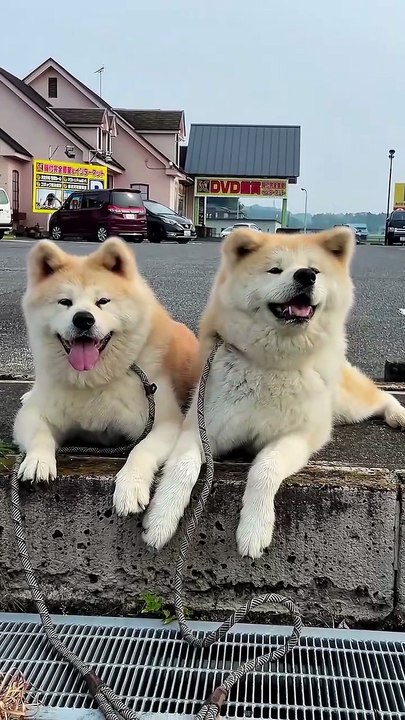 Let's spend today with a smile!