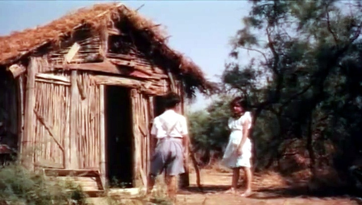 Τα δελφινάκια του Αμβρακικού (1993)