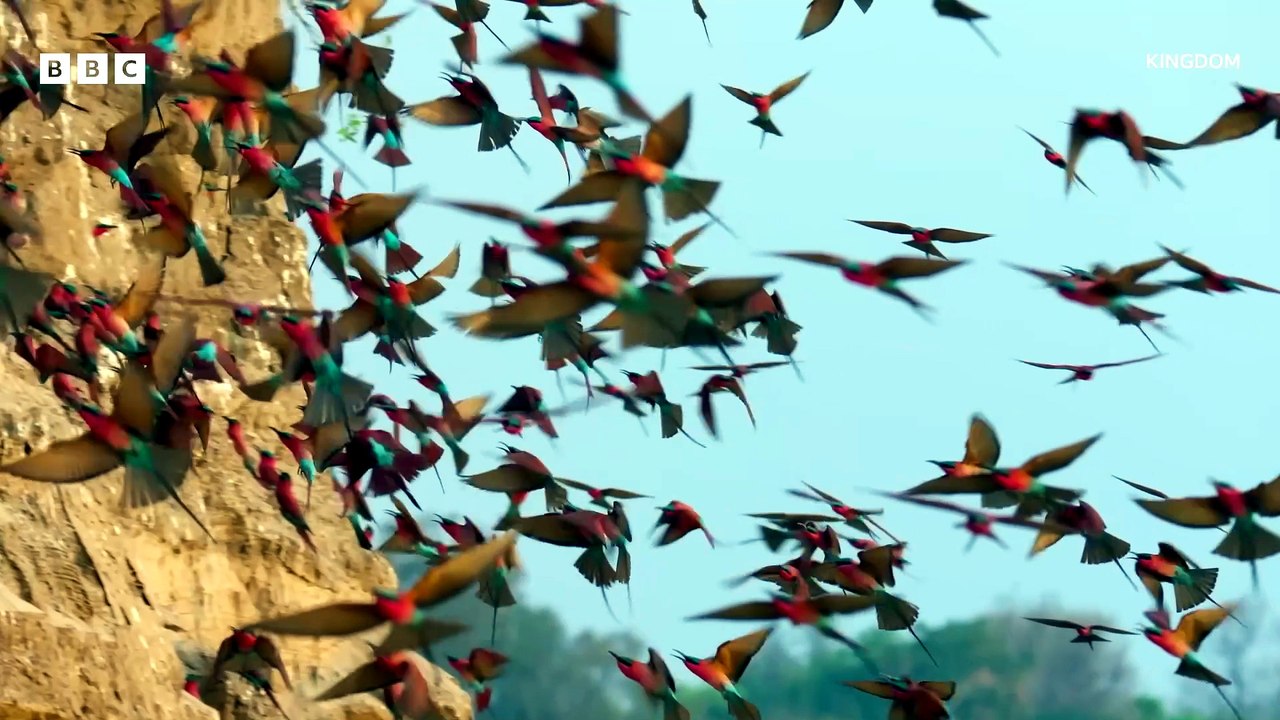 Kingdom (2025) Saison 1 -  (EN)