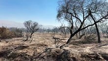 El avión hidrante sobrevuela la zona afectada en Cafayate