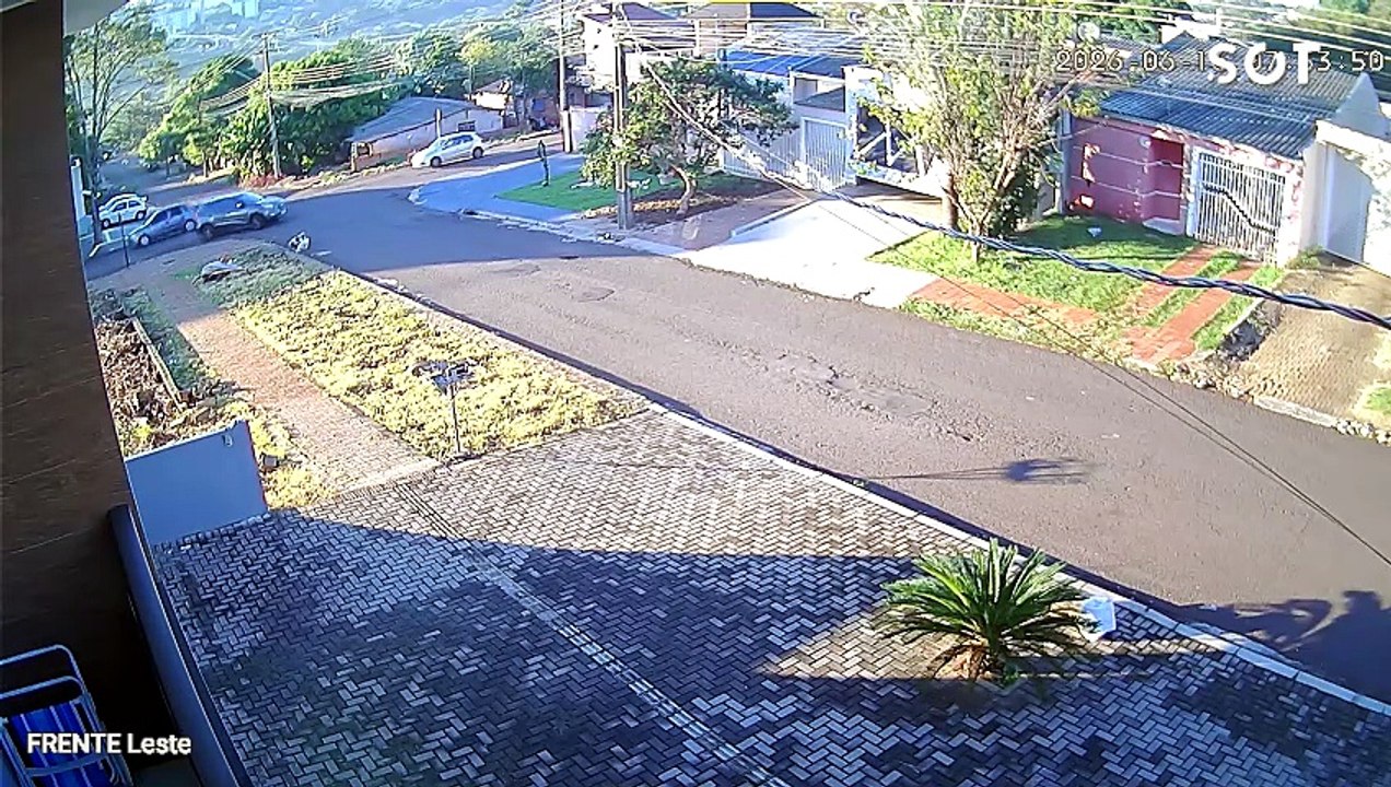 Cão é atropelado em Cascavel e motorista deixa local sem prestar socorro; Polícia Civil busca identificar responsável