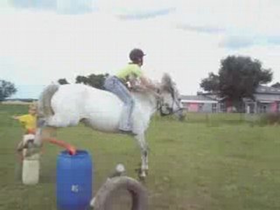 Saut milka
