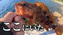 【穴釣り】誰もやってない場所　試した結果…
