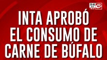 El asado por las nubes: la carne de búfalo es el nuevo furor contra la crisis