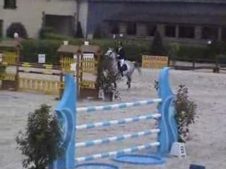 Jugurta de Loye Haras de Bory 2