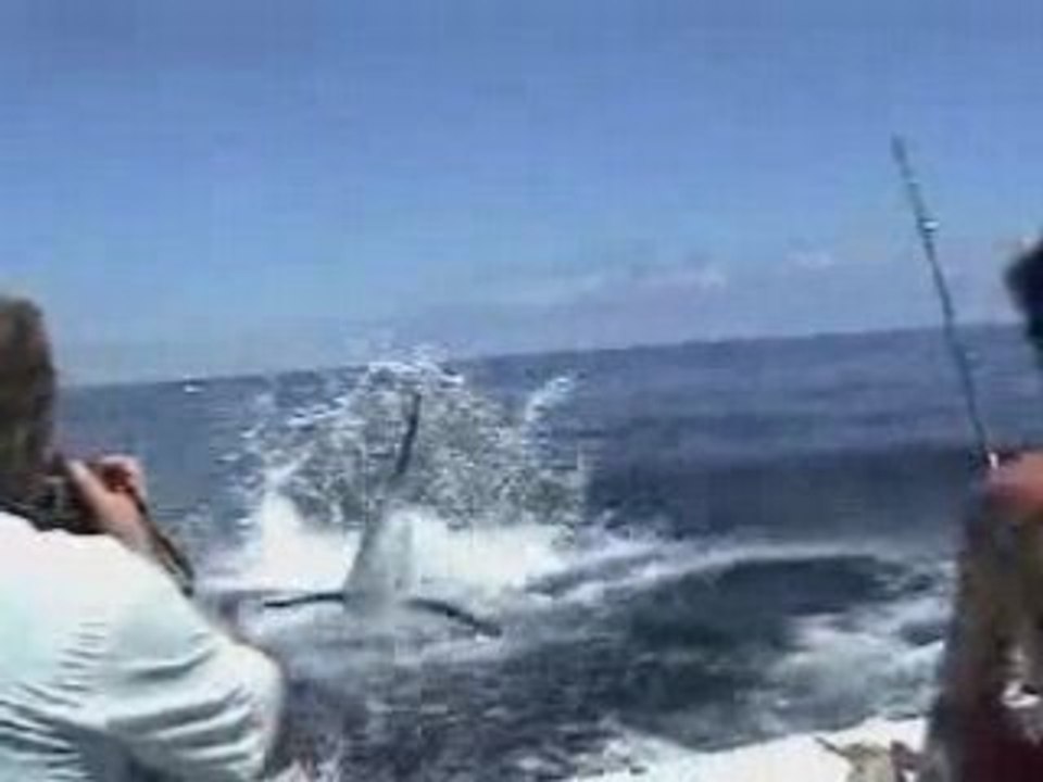 peche a l espadon qui tourne mal