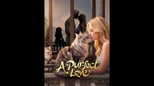 Un amore purr-fect | Film Completo in Italiano