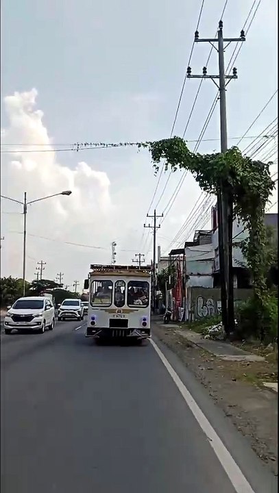 Bus jadul