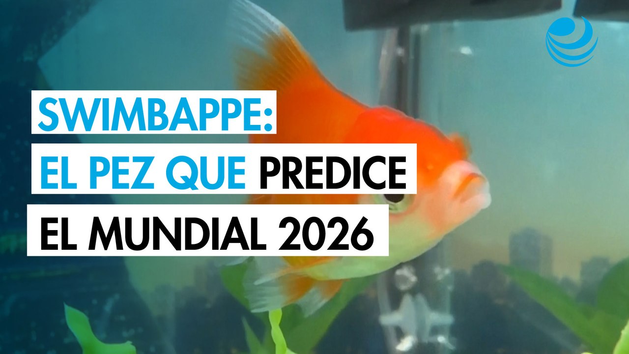 Swimbappe, el pez que predice resultados del Mundial 2026
