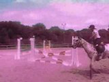 Concours equitation du 22-06-08
