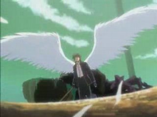 Angel's Feather