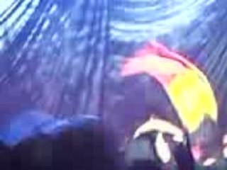 Jonas brothers 21.06.08 Bruxelles drapeau belge