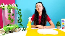 Karlar Ülkesi Elsa ve Barbie Sevcan'ın SPA salonunda! Kız oyunları [Full Movie]