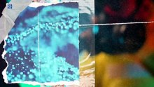 Ni "super El Niño" ni apocalipsis: la ciencia enfría el último susto climático