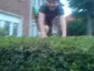 Yndi saute en jackass