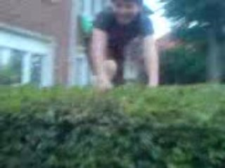 Yndi saute en jackass