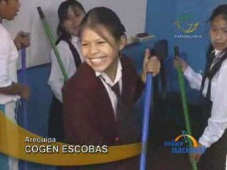 COGEN ESCOBAS_AREQUIPA