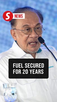 Malaysia’s fuel, gas supply secure for 20 years after talks with Putin, says Anwar