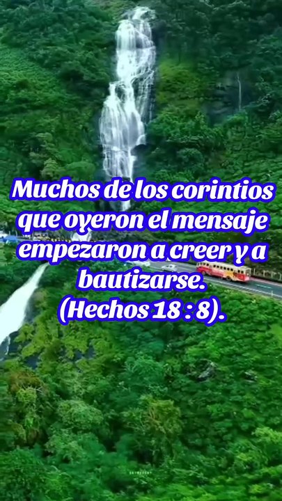 Hacer cambios en nuestras vidas depende de nuestra confianza e. Jehová