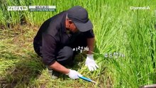 나의 안식처 '가족을 위하여' 힘든 일도 행복하게 이어간다