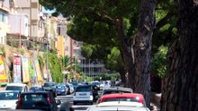 Messina, futuro incerto per i 495 pini della circonvallazione: ambientalisti chiedono chiarezza