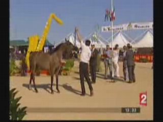 France2 Menton Show chevaux Arabe