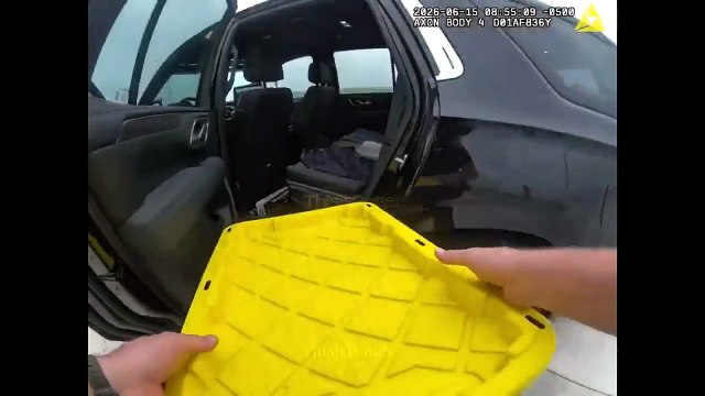 Un policier intervient pour sauver des canetons perdus sur l'autoroute