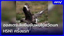 ออสเตรเลียยืนยันพบไข้หวัดนก H5N1 ครั้งแรก | เข้มข่าวค่ำ | 20 มิ.ย. 69