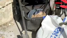 Şanlıurfa'da ağaçtan bebek arabasına düşen yılan panik yarattı