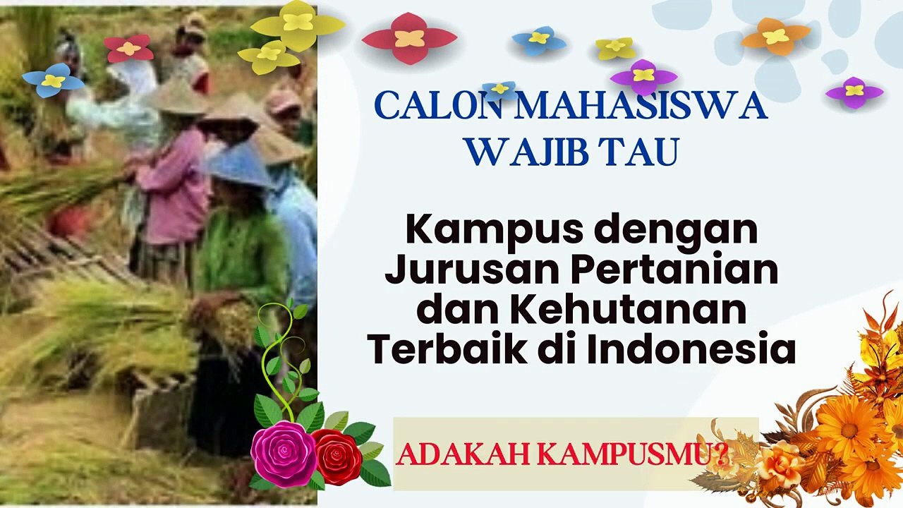 Enam Universitas Terbaik di Jabodetabek Versi QS AUR, Ada Dua PTN dan Empat PTS
